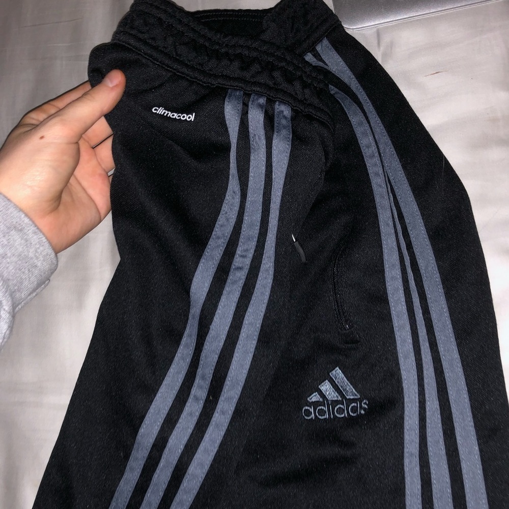 Adidas Pants